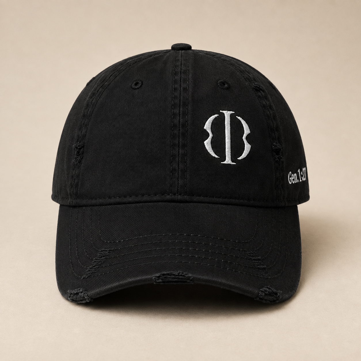 Imago Dei Reflection Cap